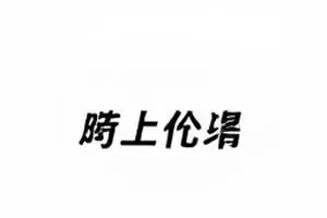 白昼流星路演问答整理封面
