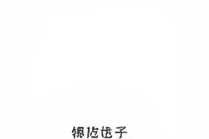长夜将明官宣节奏回溯封面