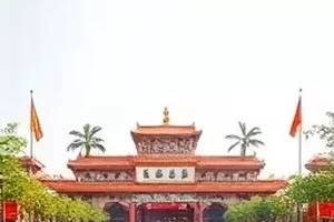 逆流而上采访删减片段封面